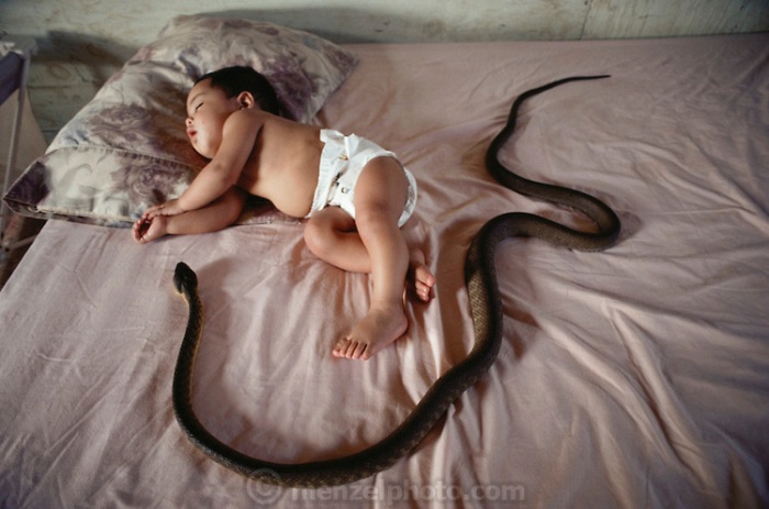 snake-and-baby